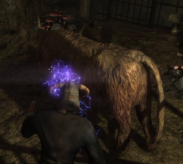 A bandit polymorphed into a big shaggy cow in a cave hideout