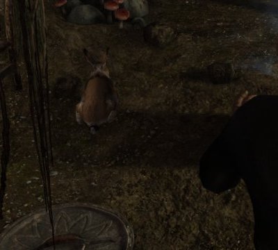 A bandit polymorphed into a small rabbit sitting on the cave floor